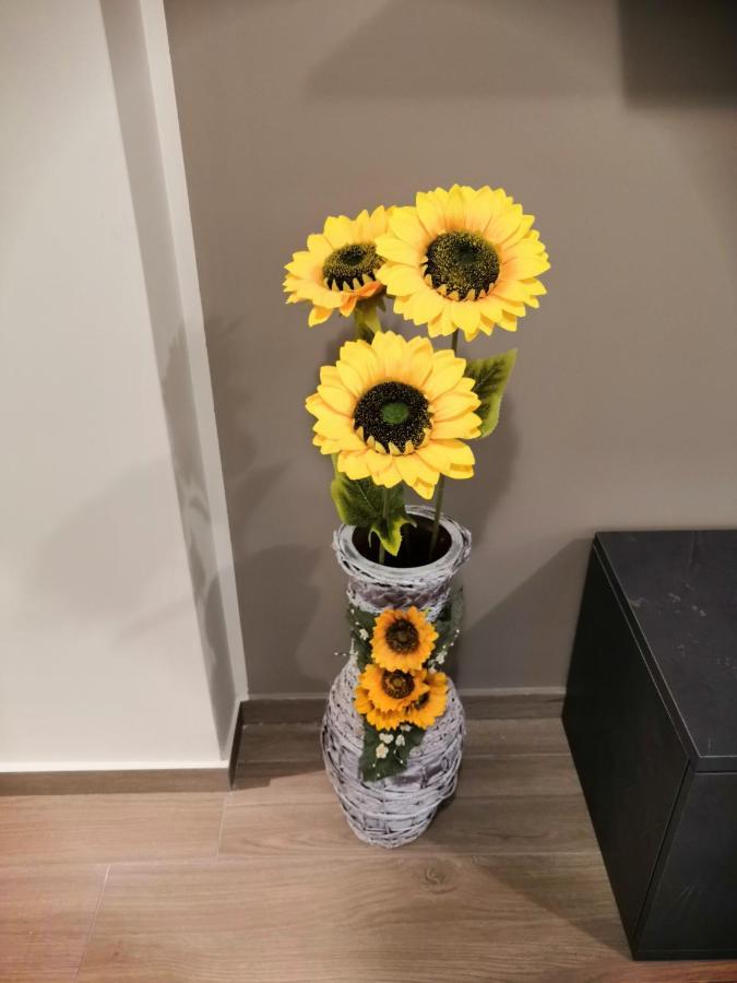 La Casa Dei Girasoli Marsala Eksteriør bilde